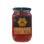 Μέλι Ανθέων & Βελανιδιάς ΤΣΙΟΥΝΗΣ 450γρ.